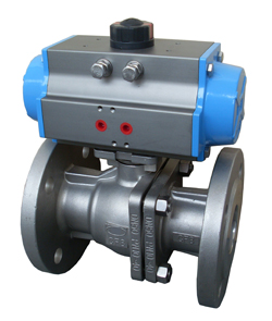 BITORQ������